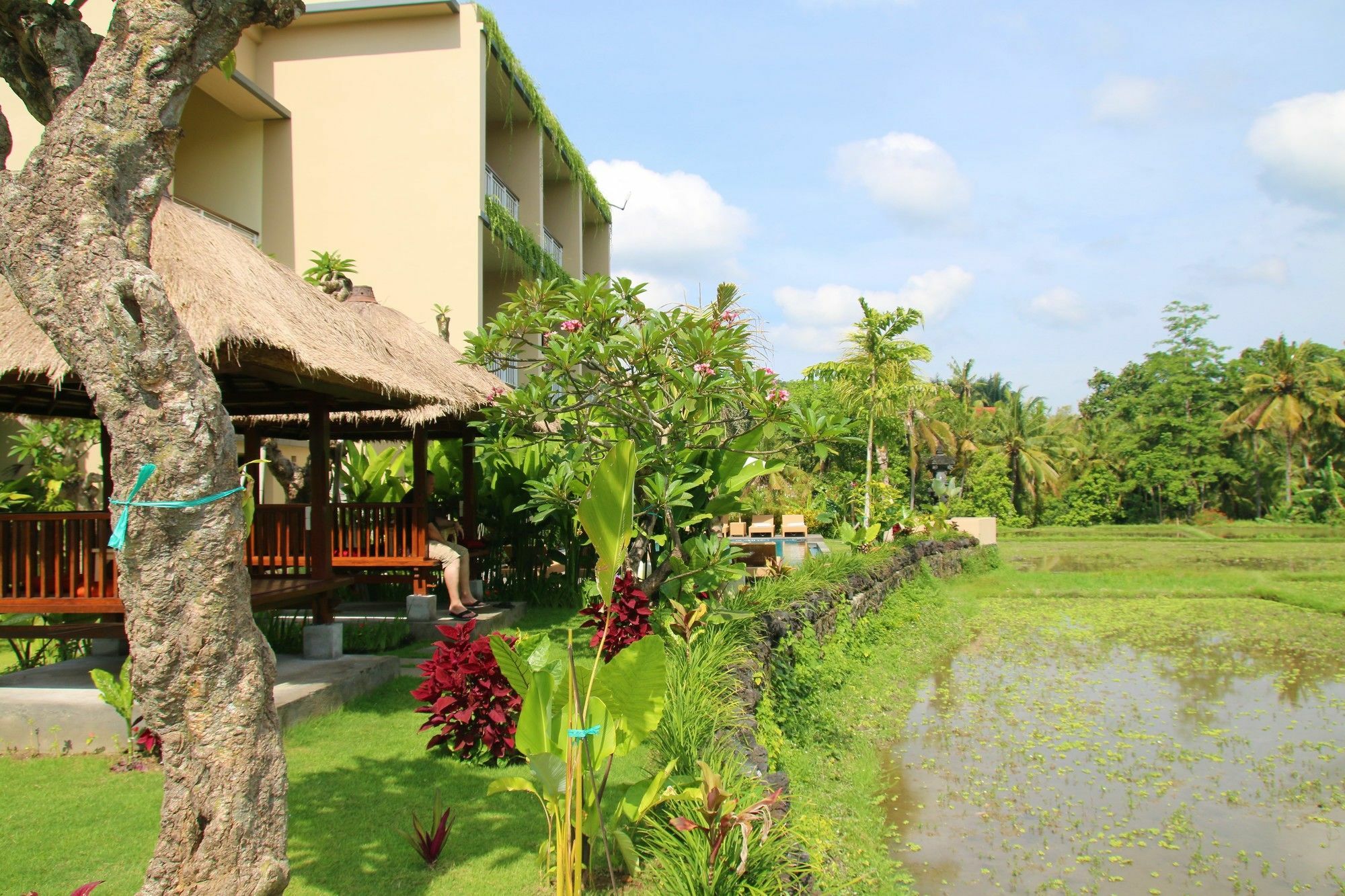 Byasa Ubud Eksteriør bilde