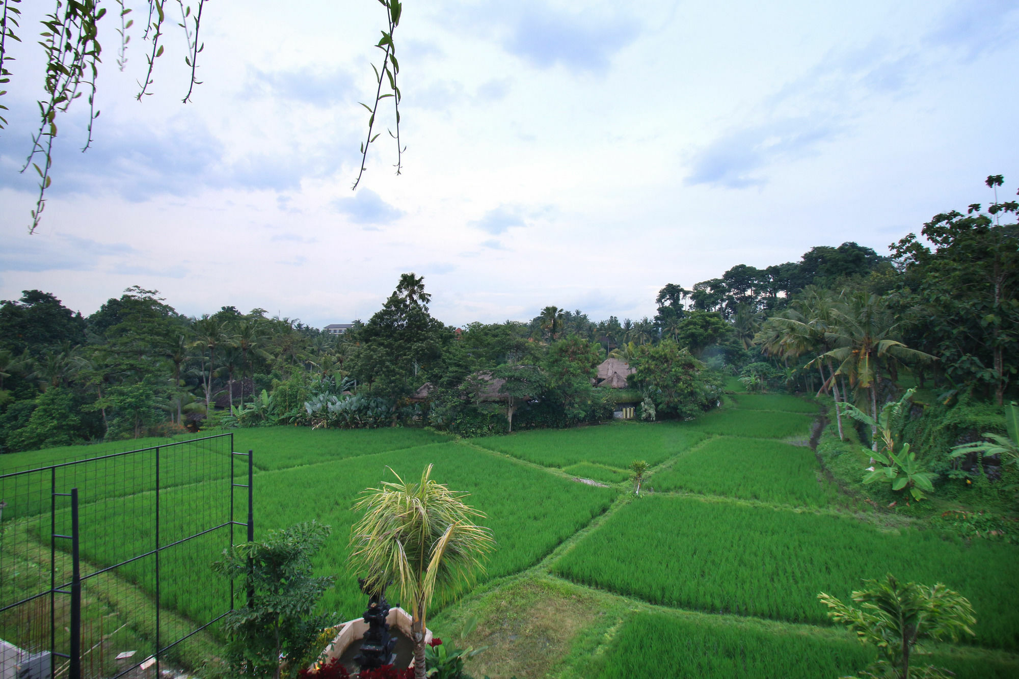 Byasa Ubud Eksteriør bilde